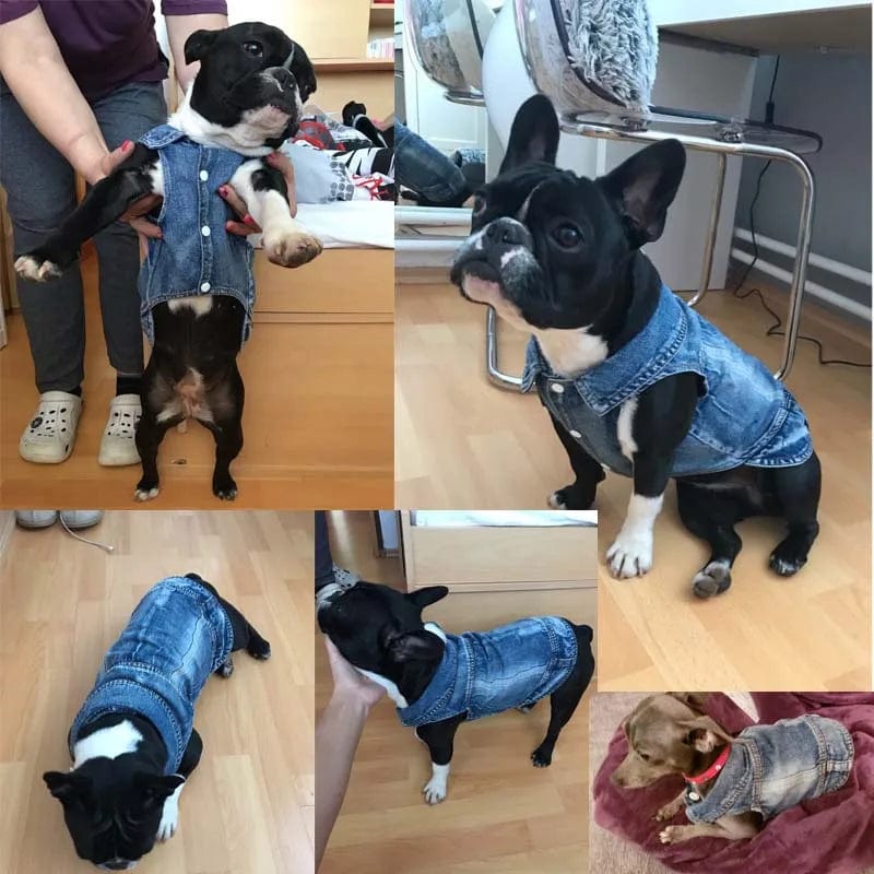 dog-clothes-pet-apparel-jean-jacket-dog