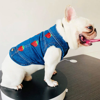 dog-clothes-pet-apparel-jean-jacket-dog