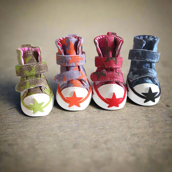 dog-shoes-with-stars-sneakers-small-dogs