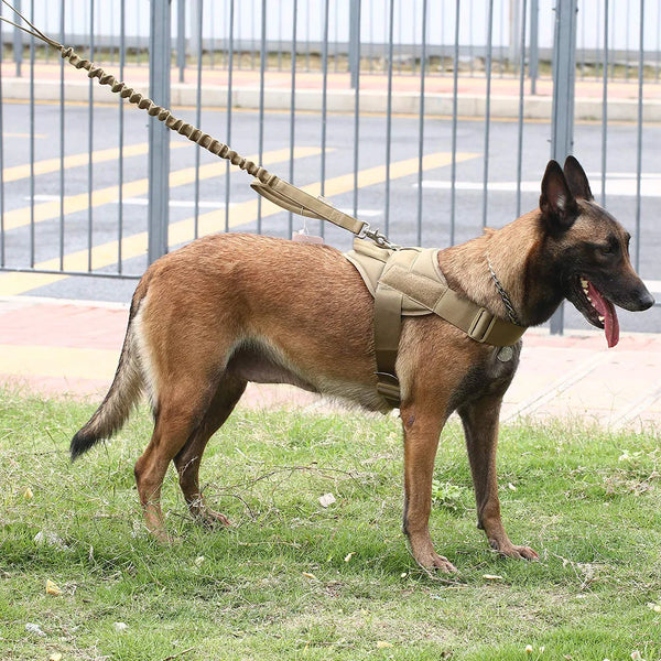 tactical-training-dog-vest-dog-vest-tactical-pet-clothes