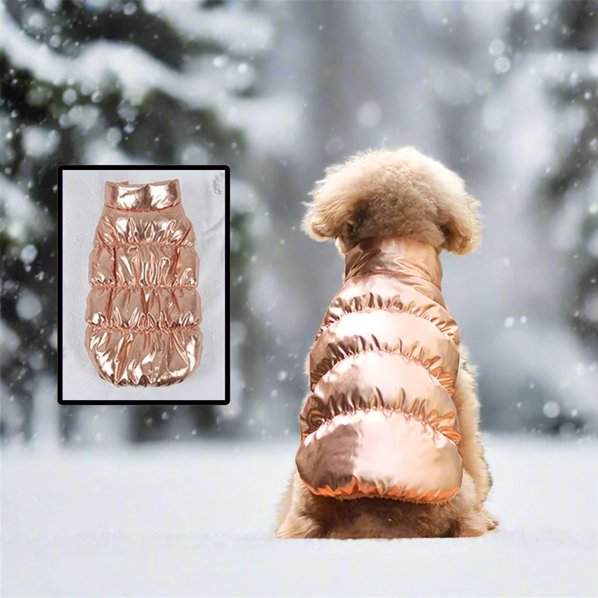 dog-cat-clothes-winter-coat-pet-clothing