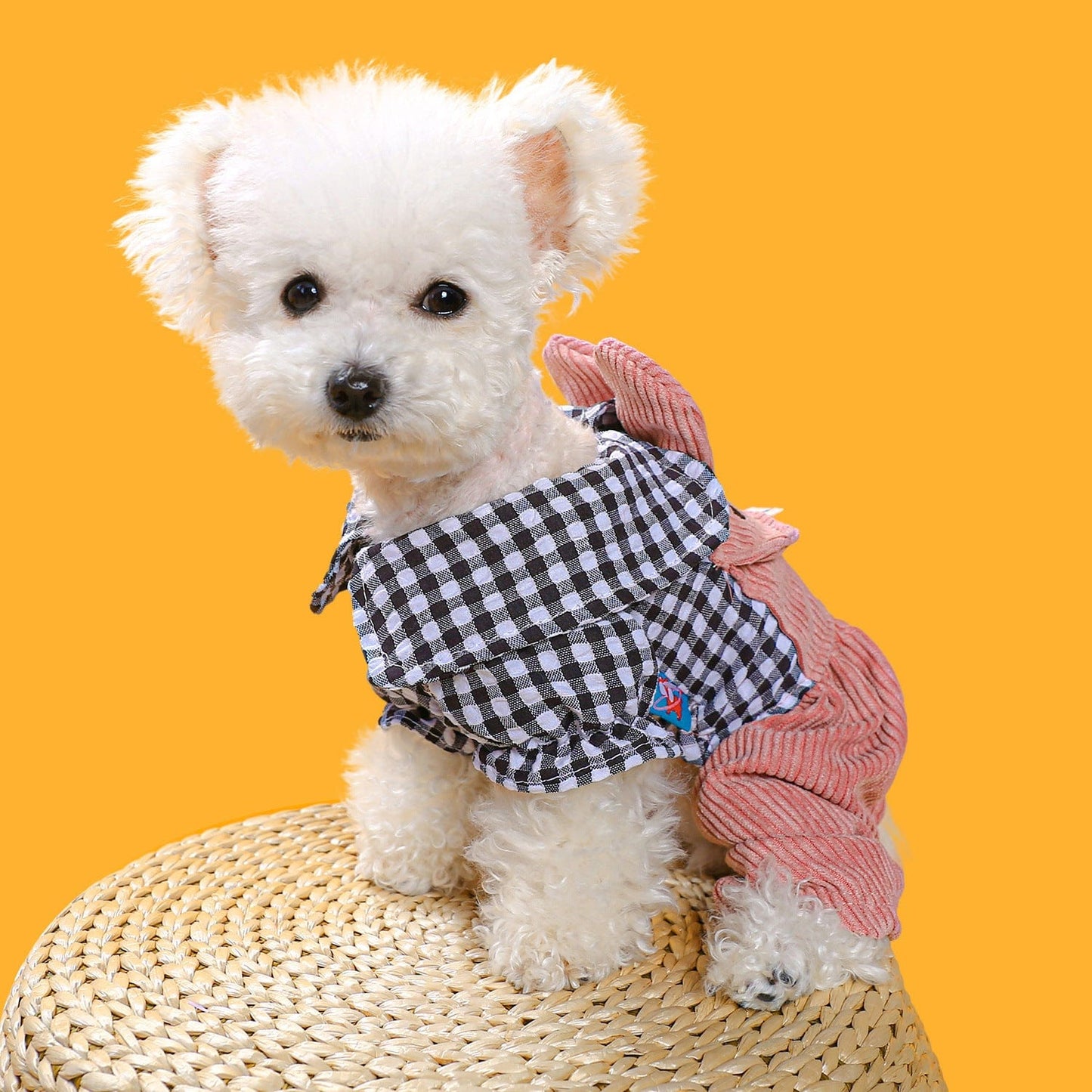 dog-clothes-pet-apparel