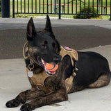 tactical-dog-harness-leash-set-molle-bags