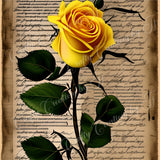 yellow-rose-paper-digital-download-scrapbook