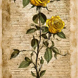 yellow-rose-paper-digital-download-scrapbook